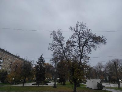 
В Саратовской области продолжится череда прохладных дней с ливнями					