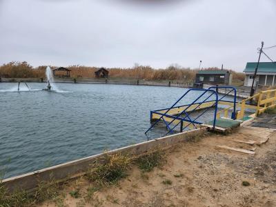 
В субботу в Саратове без осадков					