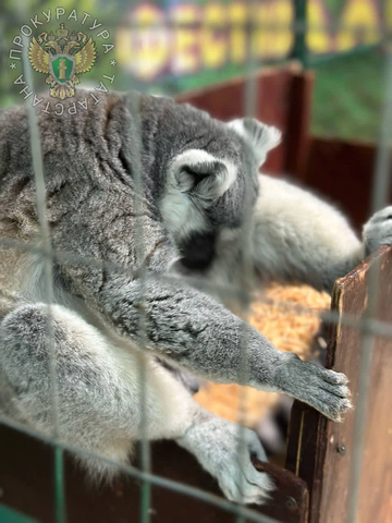 Бизнесмен &mdash; без лицензии, животные &mdash; без воды: в работе передвижного зоопарка нашли ряд нарушений