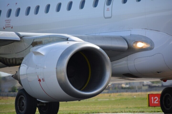 Пыталась открыть дверь во время полета и кричала, чтоб ее выпустили &laquo;с круизного лайнера&raquo;: у пассажирки самолета отсудили несколько сотен тысяч рублей