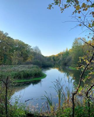 
Роспотребнадзор не рекомендует саратовцам купаться в стоячих водоемах					