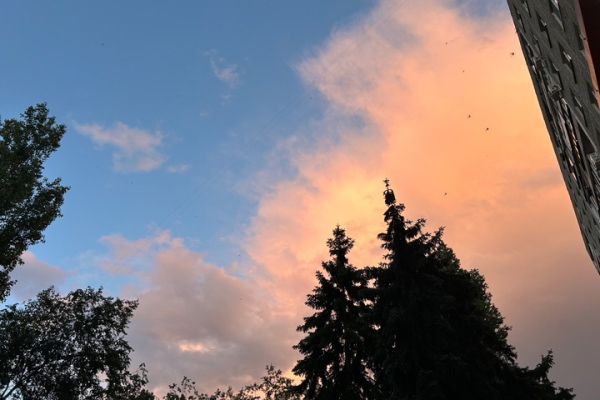 От 11 до 33 градусов тепла: в регионе ожидается переменчивая погода