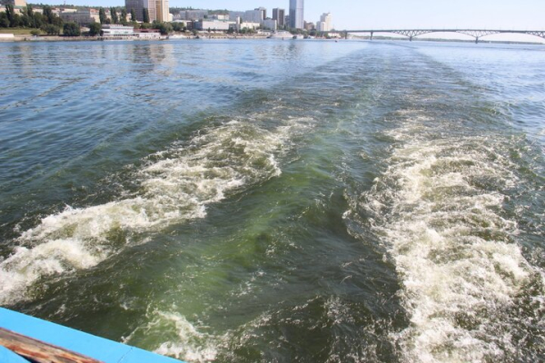 День ВМФ в Саратове: в &laquo;Липках&raquo; прошел митинг, в Волгу опустили венок в честь погибших воинов (фоторепортаж)
