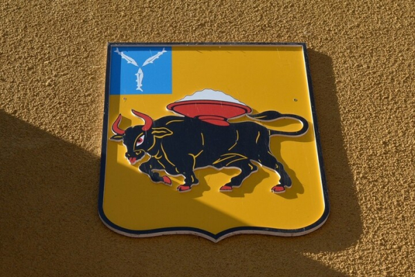 В Энгельсе за мандат депутата поборются два военных пенсионера и помощник машиниста В Энгельсе за мандат депутата поборются два военных пенсионера и помощник машиниста