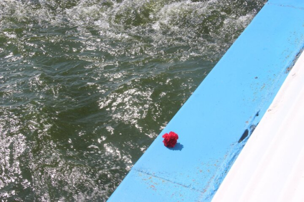 День ВМФ в Саратове: в &laquo;Липках&raquo; прошел митинг, в Волгу опустили венок в честь погибших воинов (фоторепортаж)