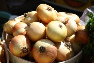 
В Энгельском районе состоится фестиваль Лука					