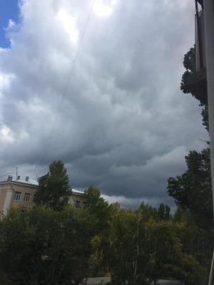 
На выходных в Саратовской области будут грозы, дожди и жара					