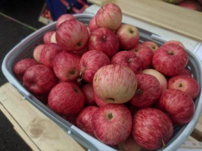 
В Саратовской области выросли цены на огурцы, гречку и яблоки					