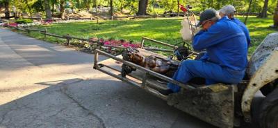 
После трагедии в Горпарке Саратова убирают деревянные скульптуры					