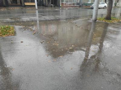 
В Саратовской области будет дождливая неделя					