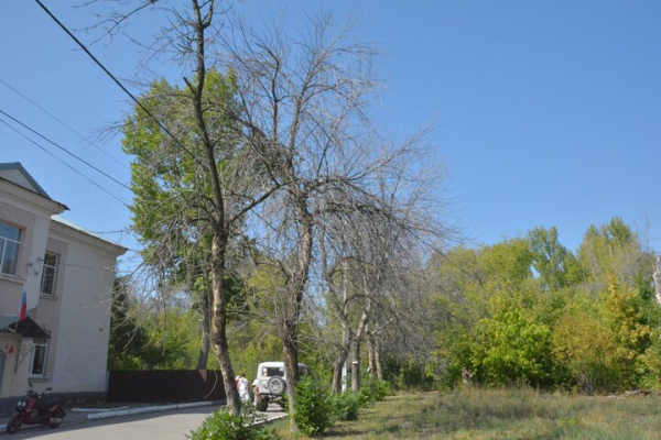 Парк советского периода. Показываем чудовищный сквер на окраине Саратова, на десятки лет забытый властями
