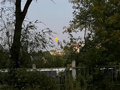 
Жители Саратова наблюдали полное лунное затмение					