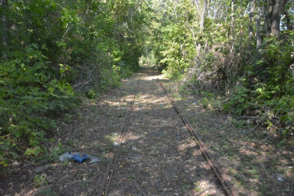 Парк советского периода. Показываем чудовищный сквер на окраине Саратова, на десятки лет забытый властями