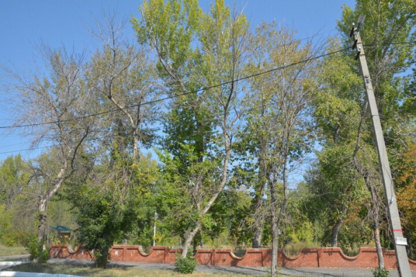 Парк советского периода. Показываем чудовищный сквер на окраине Саратова, на десятки лет забытый властями