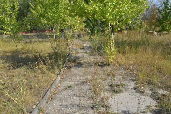 Парк советского периода. Показываем чудовищный сквер на окраине Саратова, на десятки лет забытый властями