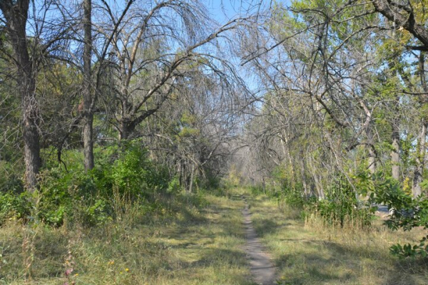 Парк советского периода. Показываем чудовищный сквер на окраине Саратова, на десятки лет забытый властями