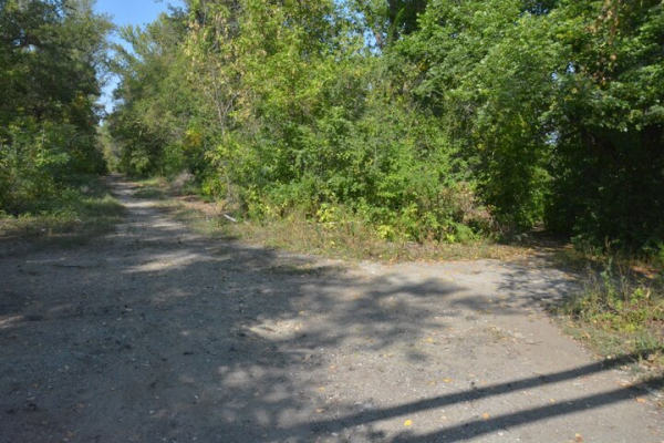 Парк советского периода. Показываем чудовищный сквер на окраине Саратова, на десятки лет забытый властями