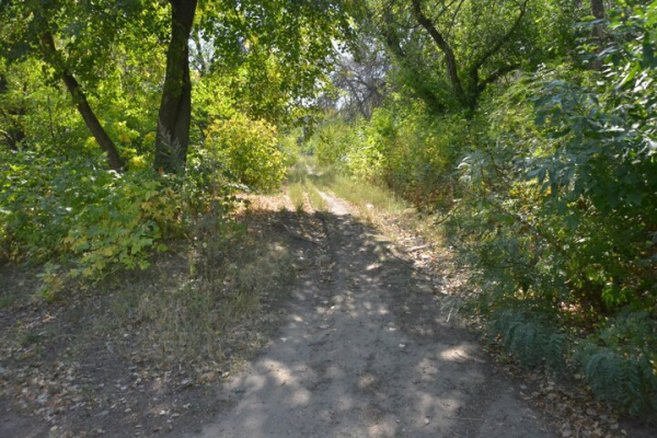 Парк советского периода. Показываем чудовищный сквер на окраине Саратова, на десятки лет забытый властями