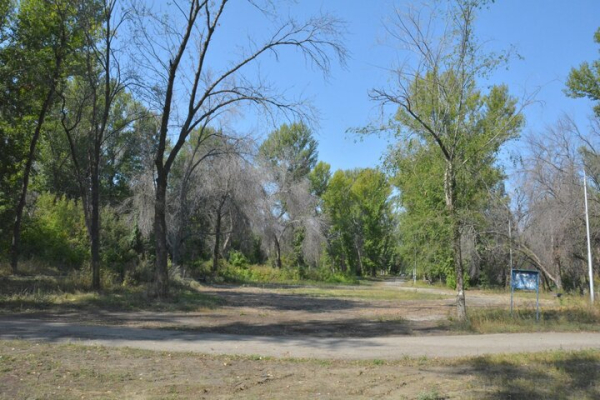 Парк советского периода. Показываем чудовищный сквер на окраине Саратова, на десятки лет забытый властями