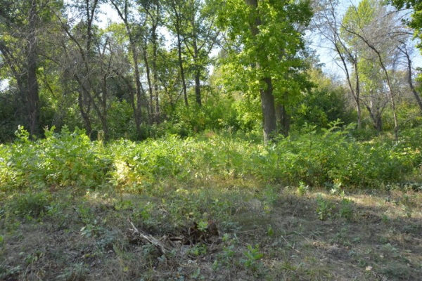 Парк советского периода. Показываем чудовищный сквер на окраине Саратова, на десятки лет забытый властями