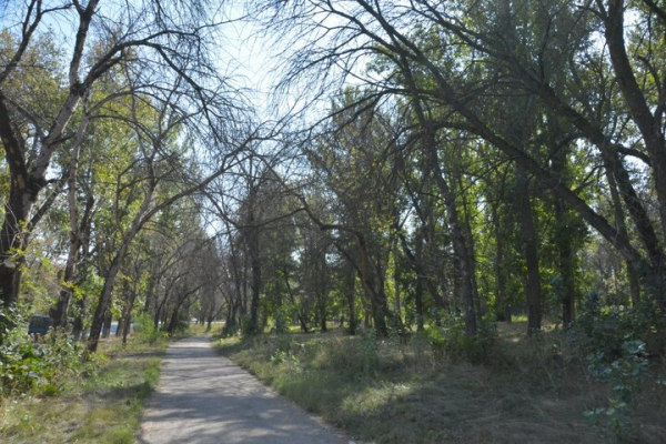 Парк советского периода. Показываем чудовищный сквер на окраине Саратова, на десятки лет забытый властями