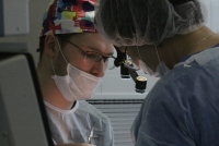 Притяжение совершенства