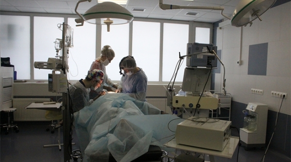 Притяжение совершенства