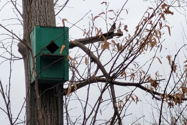 В Саратовской области может похолодать до -8, синоптики обещают снег и гололедицу В Саратовской области может похолодать до -8, синоптики обещают снег и гололедицу