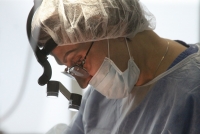 Притяжение совершенства