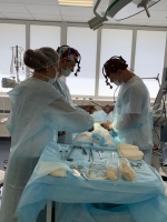 Притяжение совершенства