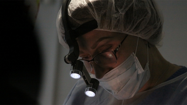 Притяжение совершенства